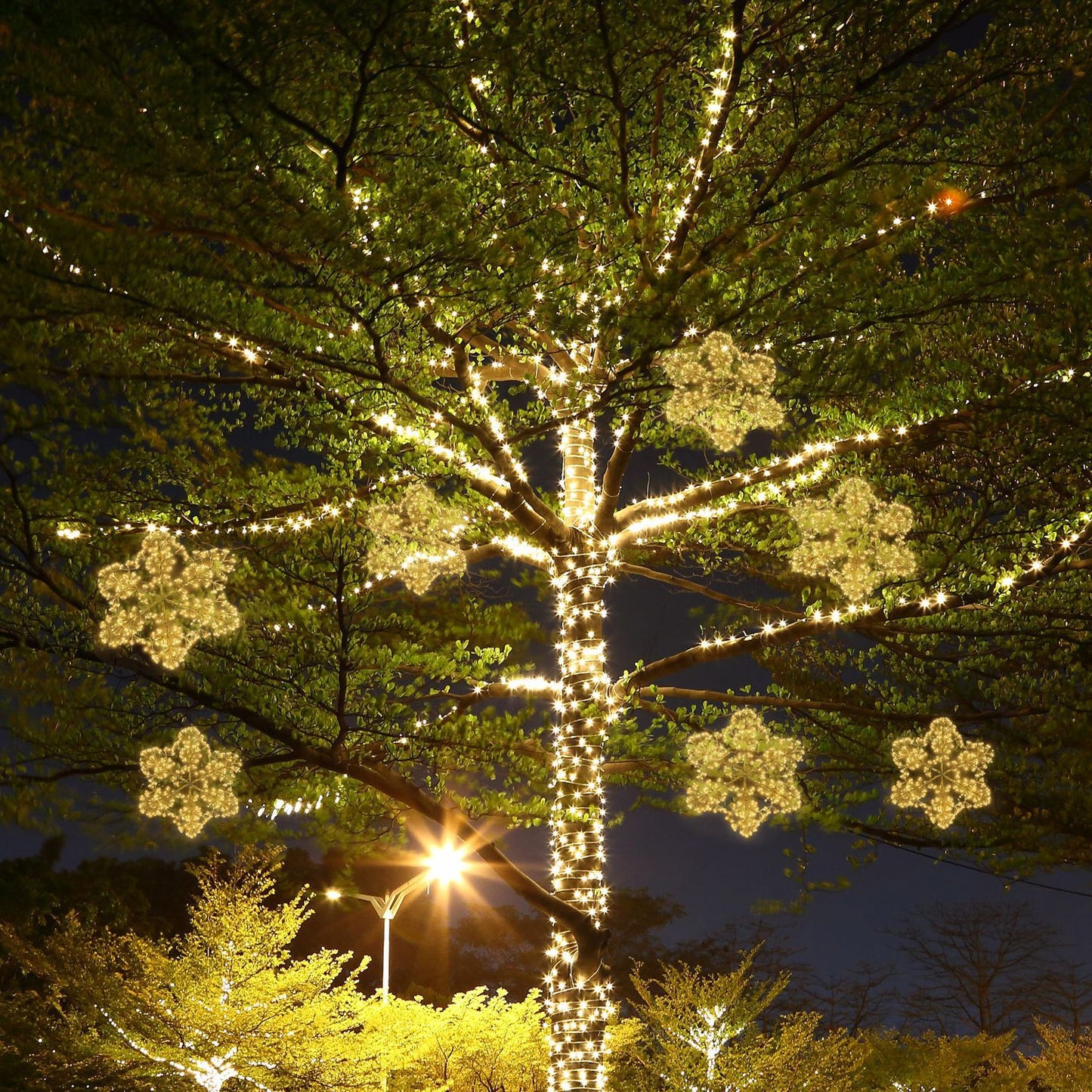 Fiocco di Neve Luminoso - LED Bianco Caldo da Esterno