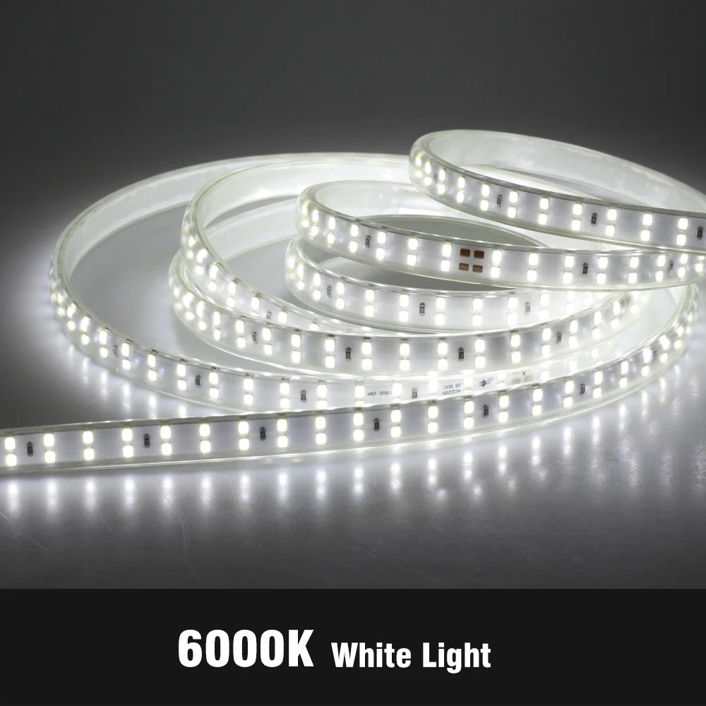 Striscia LED 220V IP67 Professionale - Illuminazione Decorativa