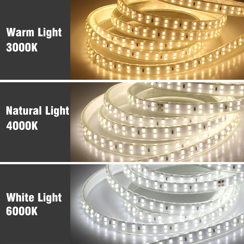 Striscia LED 220V IP67 Professionale - Illuminazione Decorativa